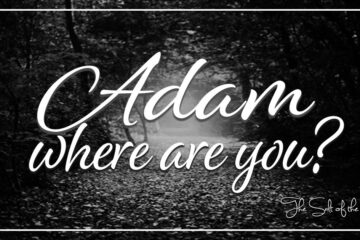 Adam-where-are-you